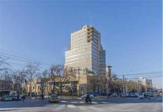 西南自凝牙托粉价格